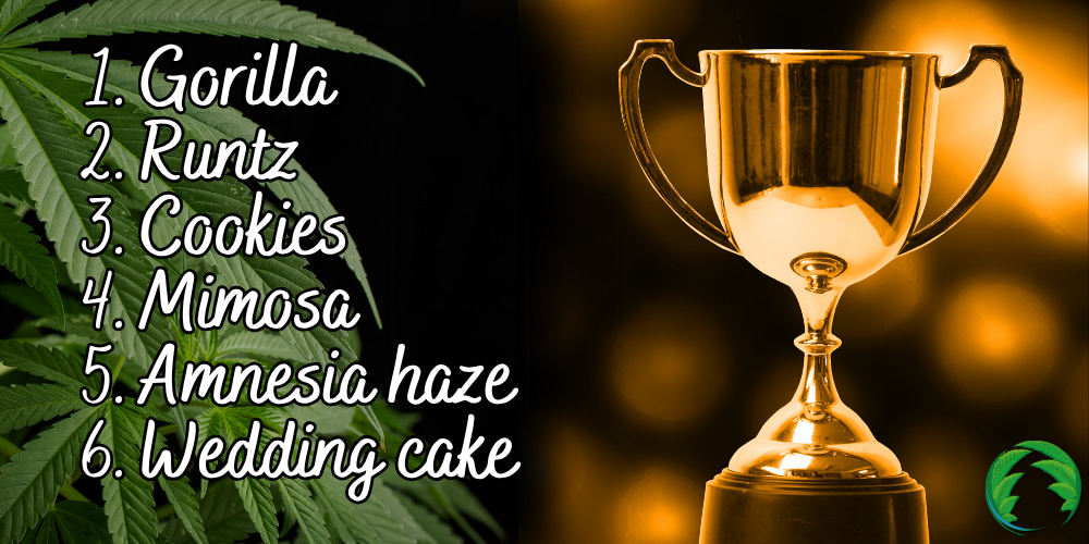 Genetiky s vysokým THC