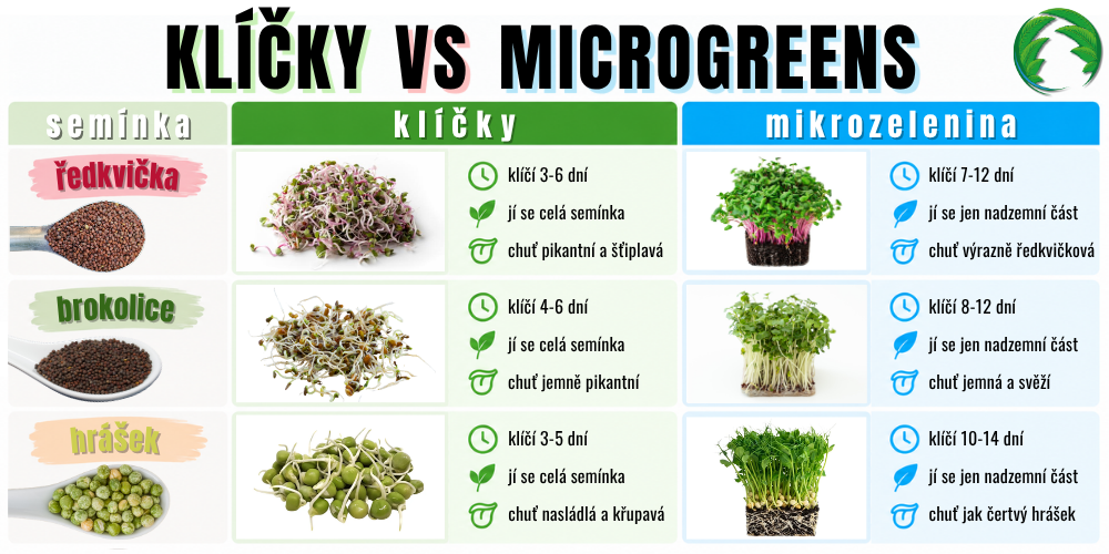 Klíčky vs microgreens přehledně.