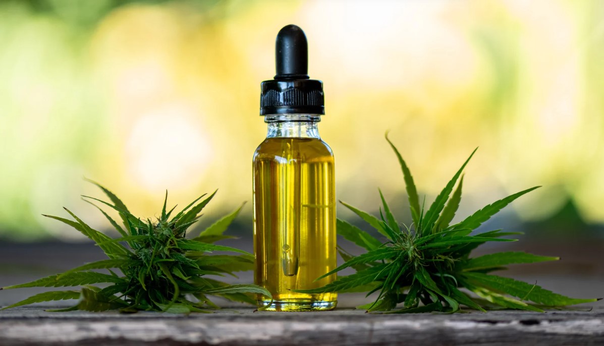 CBD olej s květy konopí