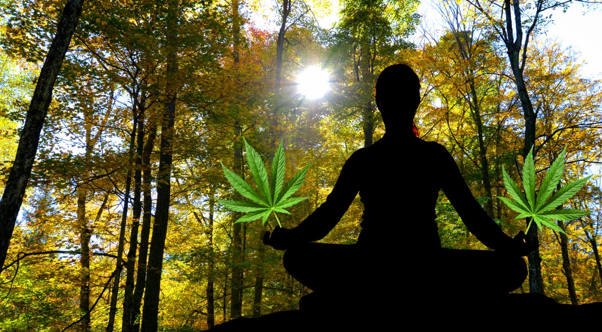 meditace s konopím