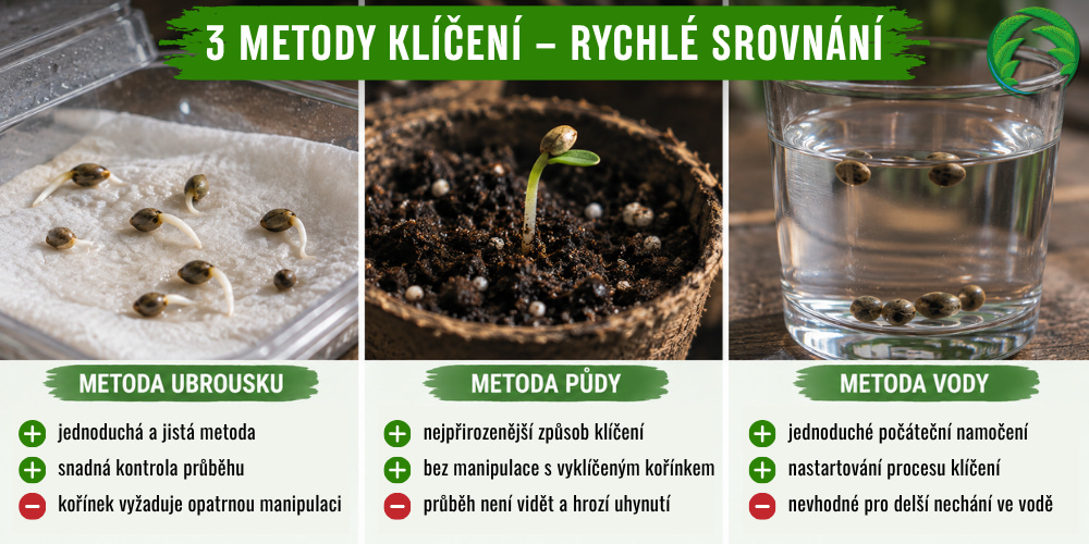 3 metody klíčení konopí – rychlé srovnání