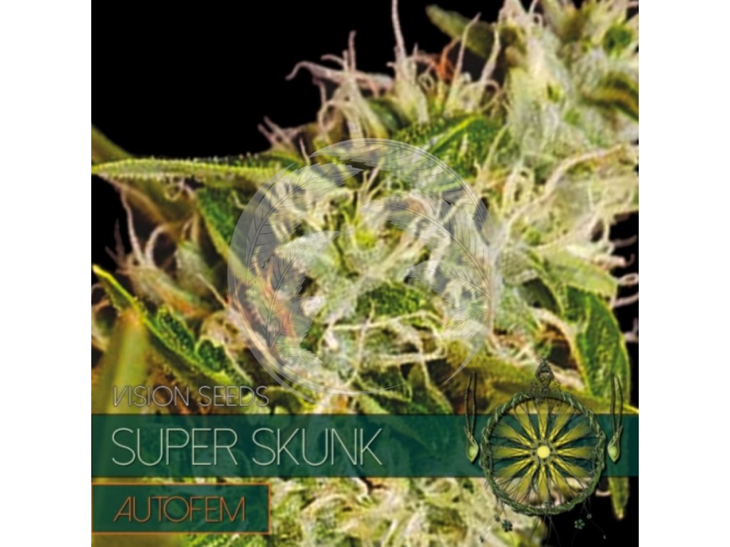 autofem vision seeds super skunk 500x500