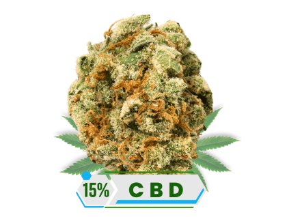 CBD květy Lemon Haze 15