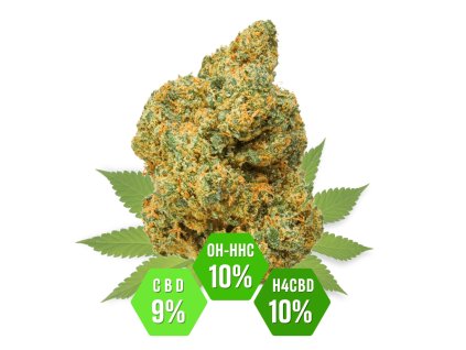 OH HHC Jack Herer