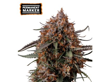 permanent marker fem semínka konopí