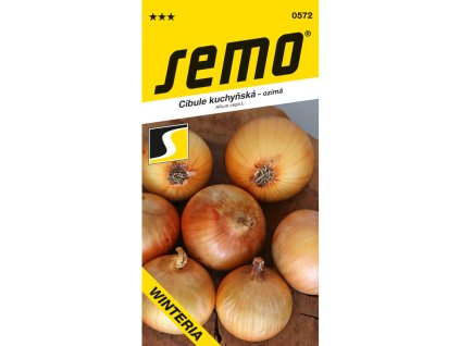 Cibule kuchyňská Winteria