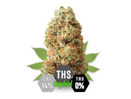 THS květy white premium