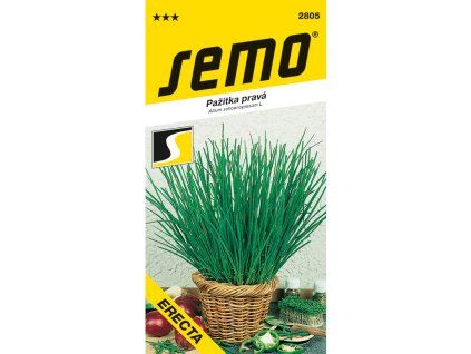 Pažitka pravá Erecta - Semo