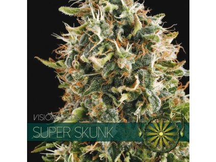 vision seeds super skunk 500x500