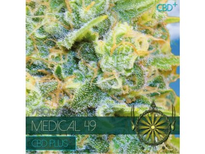 medical 49 cbd konopí