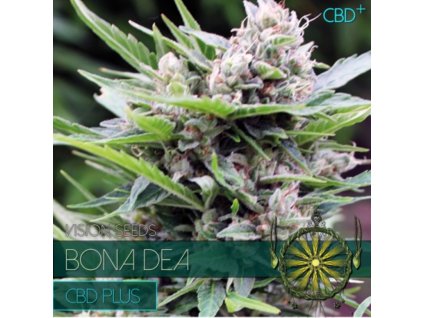 vision seeds bona dea 500x500