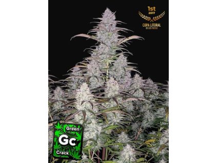 green crack autoflower seeds