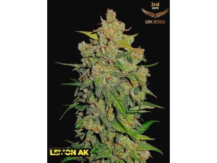 lemon ak autoflower seeds