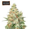 O.G Kush Autoflower seeds