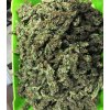 CBD 1:1 Silver Lime Haze marihuana