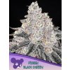 Frozen Black Cherry Fem - Anesia Seeds