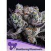 Blackberry Moonrocks Fem - Anesia Seeds