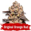 Original orange bud sativa