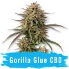 CBD Gorilla Glue Auto - Svět Semínek