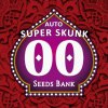 super skunk auto 00 seeds