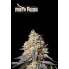 Panty Punch autoflower seeds