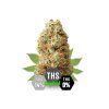 THS květy white premium