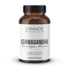 Ashwagandha Adaptogen Power