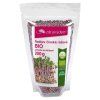 Ředkev čínská růžová BIO semínka na klíčení 200g - Zdravý den