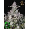 green crack autoflower seeds
