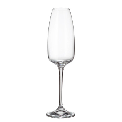 Crystalite Bohemia ANSER sklenice na šampaňské 290 ml / 6 ks