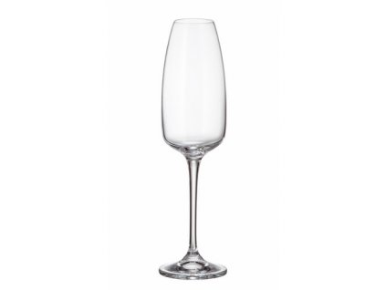 Crystalite Bohemia ANSER sklenice na šampaňské 290 ml / 6 ks