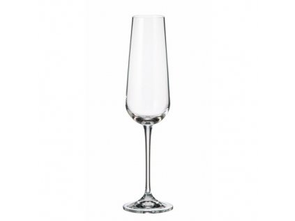 Crystalite Bohemia ARDEA sklenice na šampaňské 220 ml / 6 ks