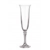 Crystalite Bohemia BRANTA sklenice na šampaňské 175 ml / 6 ks