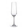 Crystal Bohemia STRIX sklenice na šampaňské 200 ml / 6 ks