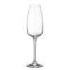 Crystalite Bohemia ANSER sklenice na šampaňské 290 ml / 6 ks