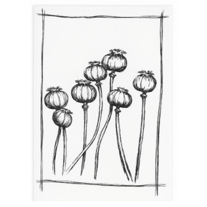 Utierka MAKOVICA 71 cm