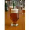 R-glass BARON pohár na craft beer 500 ml