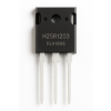 igbt1