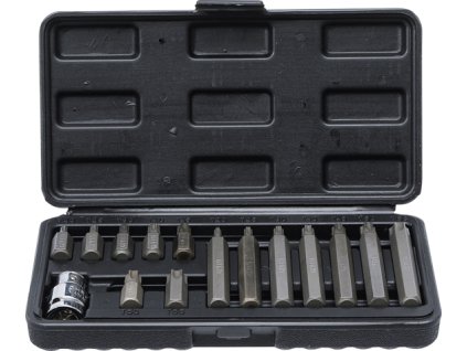 Sada bity T-profil 15dílů BGS