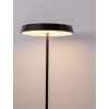 LED zeleno-čierna stojaca lampa Vetro