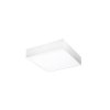 monza r 22 white (6)