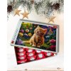 Adventní puzzle kalendář, Kočka, 500 dílků