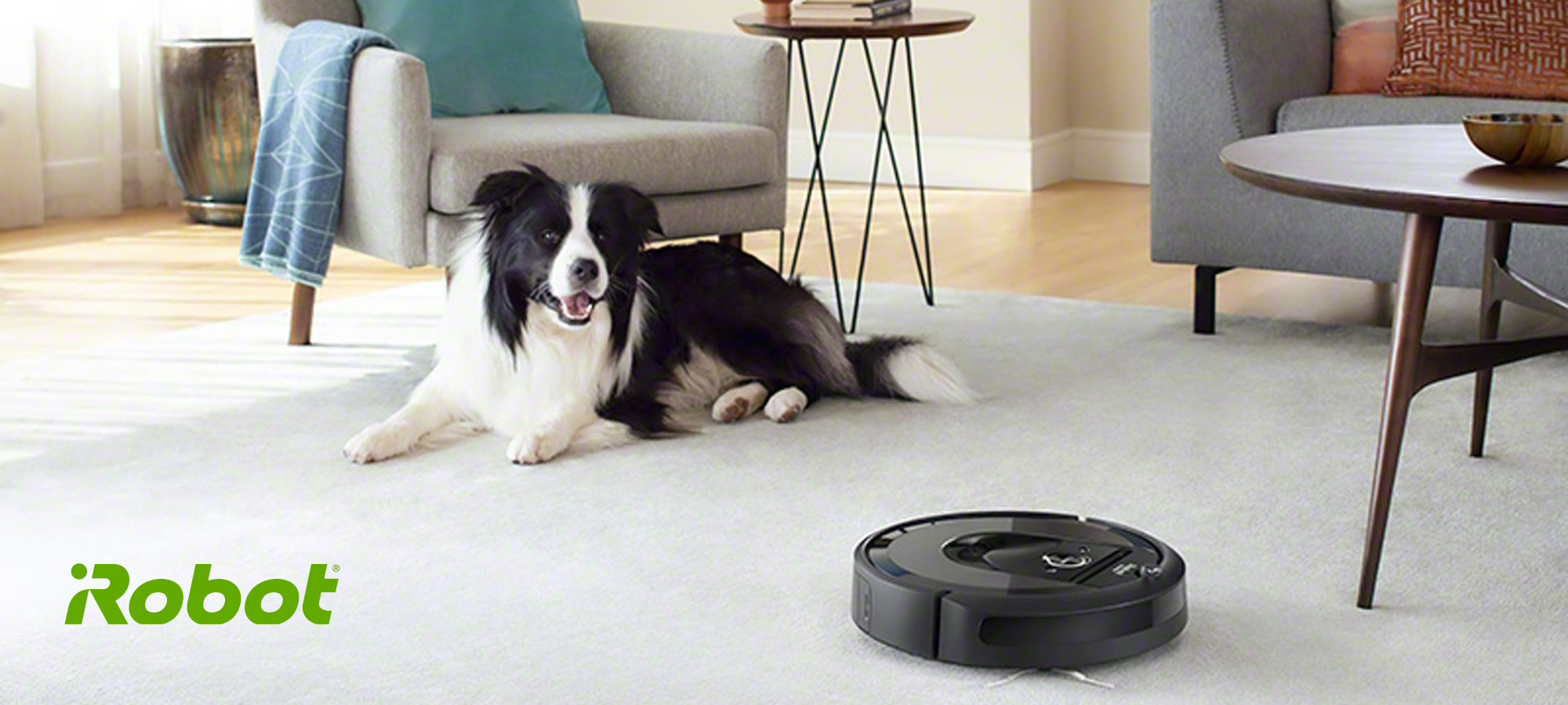 irobot pes