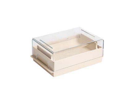 MicrogreensEconomySlon1