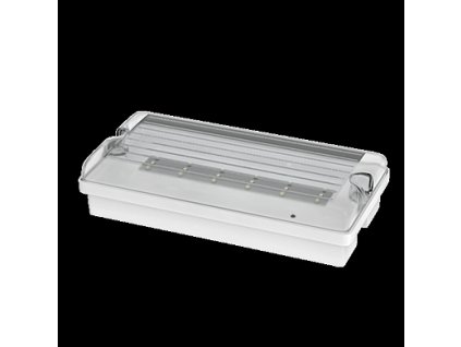 FLAT 12LED Em3h DP IP65 clear + piktogram