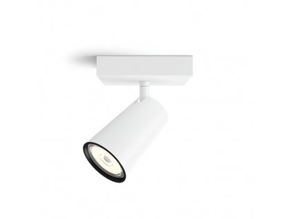 169676 philips vnitrni svitidlo paisley bila 50571 31 pn