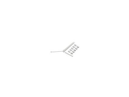198118 pasek led neon bila studena 24v led m 120 10mm ip65 9 6w m