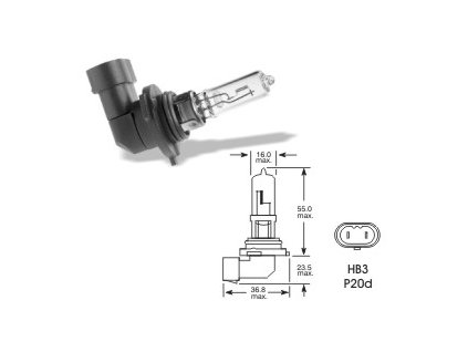 12V HB3 60W P20d, Elta