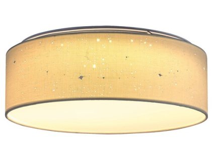 242674 otilia led stropni svitidlo 3308