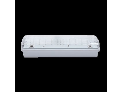 32507 nouzove led svitidlo carla 30 led 1h tp ip65